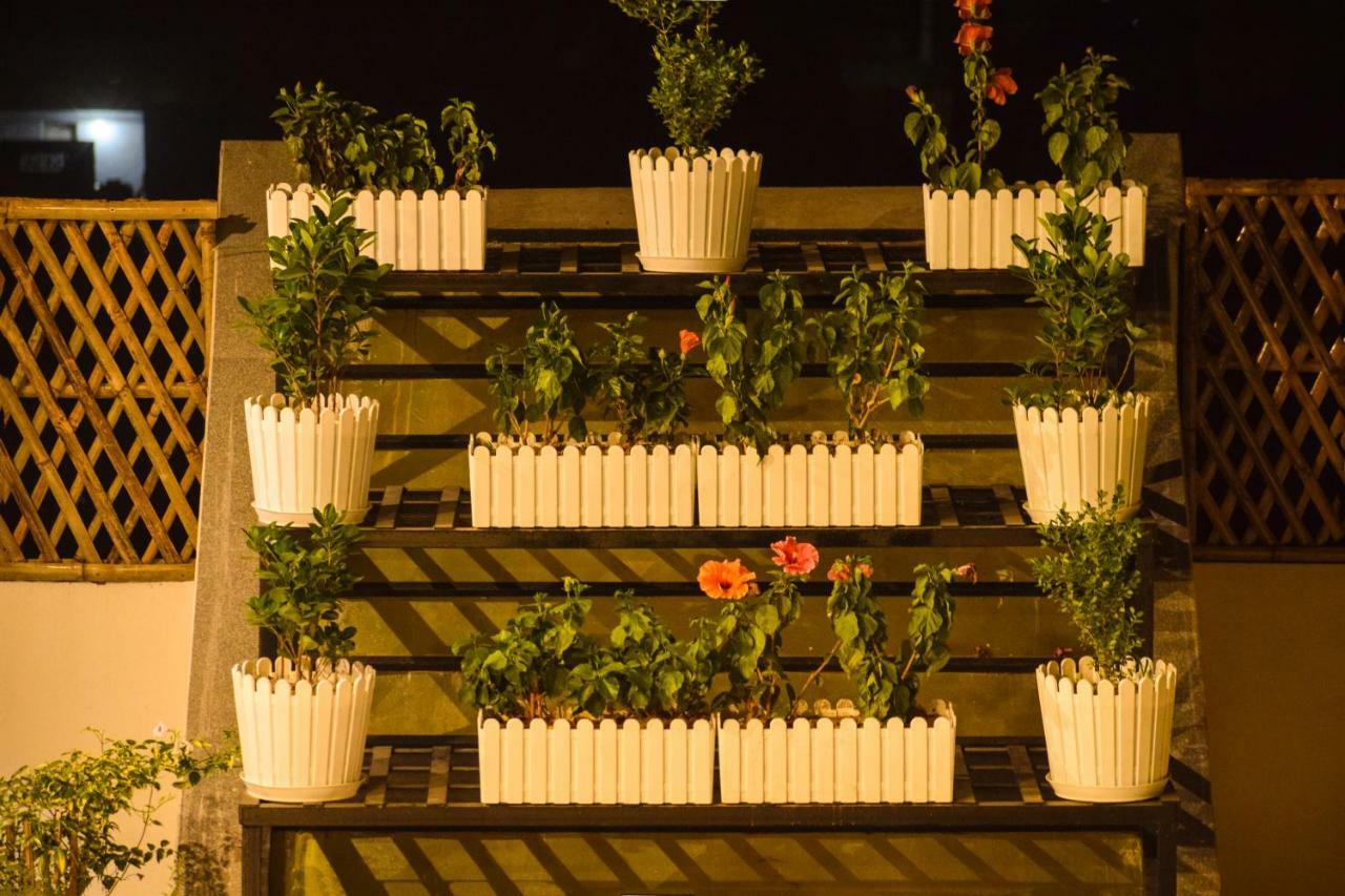 One Earth Gg Regency Hotell Amritsar Exteriör bild